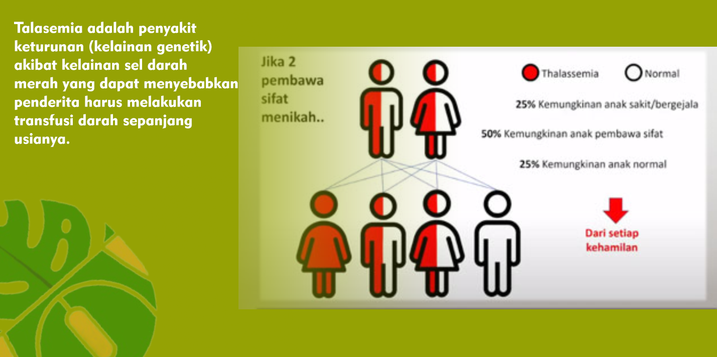 Kenali Penyakit Turunan Talasemia, Deteksi Sejak Dini